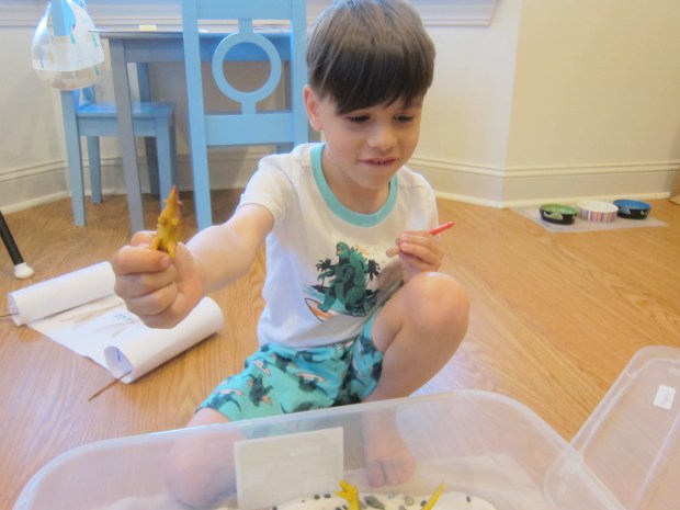 Dinosaur Sandbox (9)
