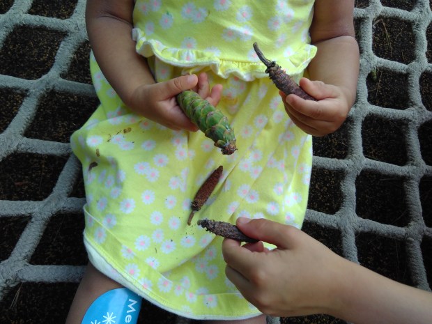 Five Six Pick Up Sticks (12)