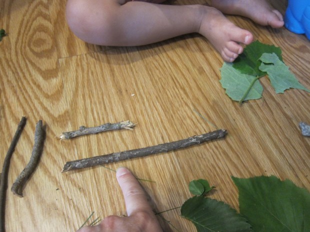 Five Six Pick Up Sticks (3)