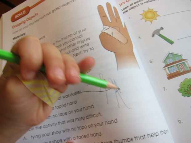 Grasping Objects (3)