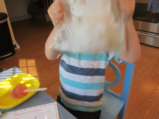 Ice Cream Science (3)