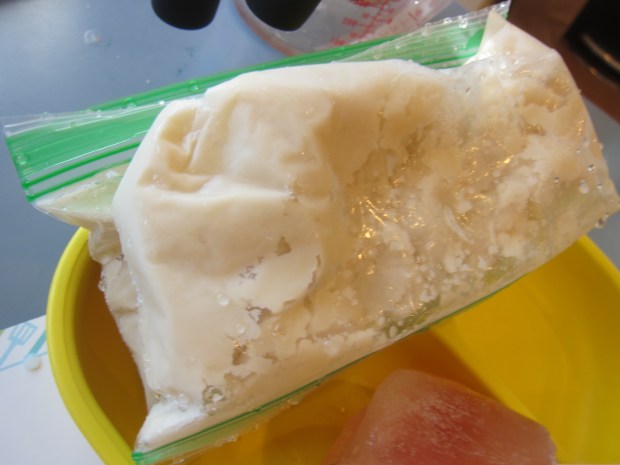 Ice Cream Science (4)