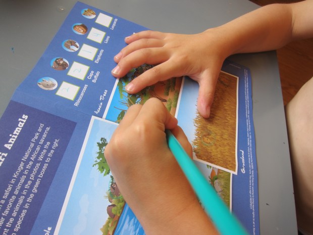 LP South Africa (14)