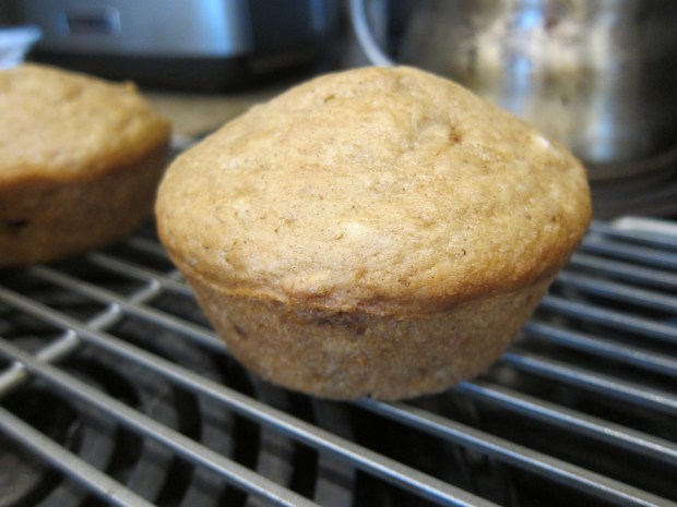 MYO Reading Activity (6)