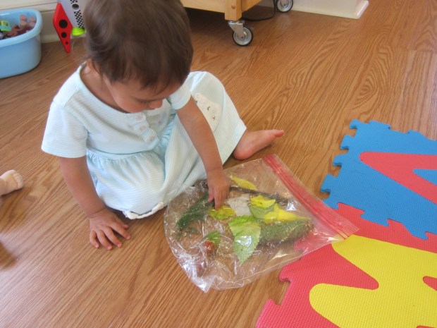 Nature Sensory Bag (10)