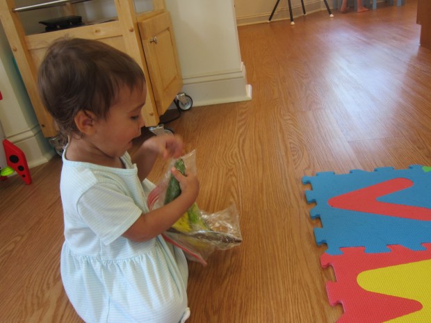 Nature Sensory Bag (11)