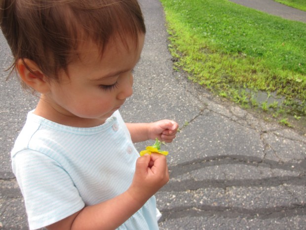 Nature Sensory Bag (3)