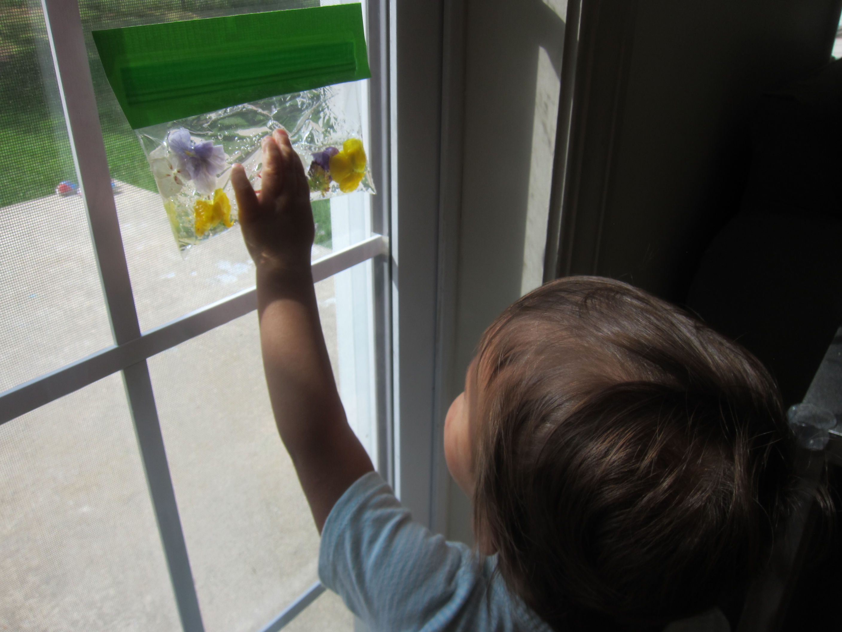 Nature Sensory Bag (4)