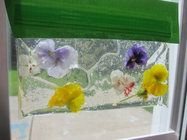 Nature Sensory Bag (5)