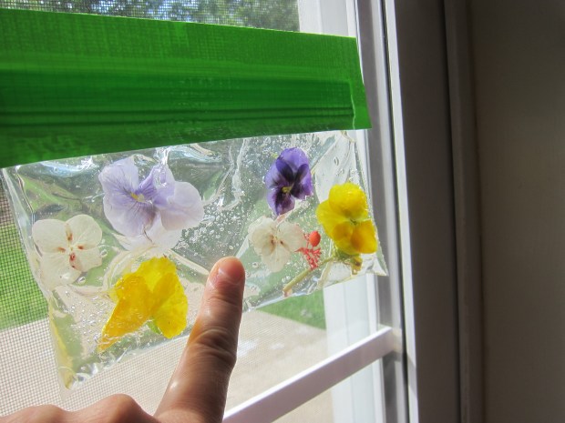Nature Sensory Bag (6)