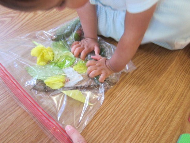 Nature Sensory Bag (7)