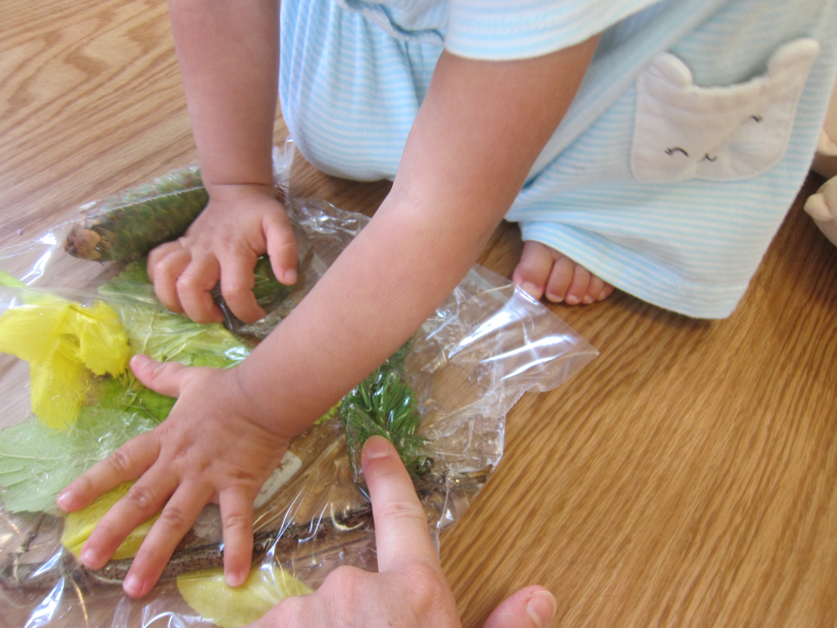 Nature Sensory Bag (8)