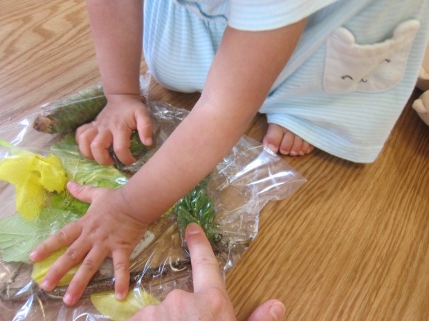 Nature Sensory Bag (8)