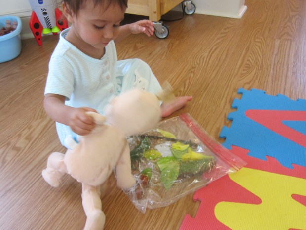 Nature Sensory Bag (9)