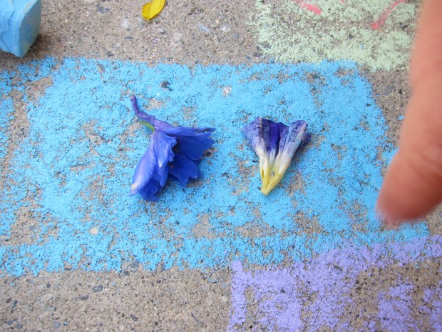 Outdoor Color Match (7)