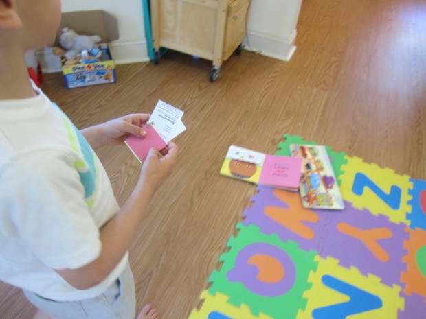 Paint Chip Scavenger (4)