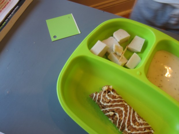 Paint Chip Scavenger (6)