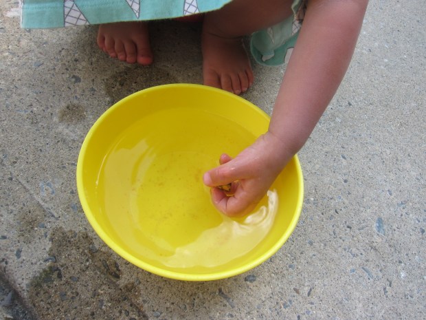 Pan for Gold Sandbox (4)