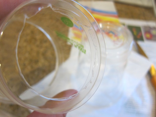 Plastic Cup Lantern (3)