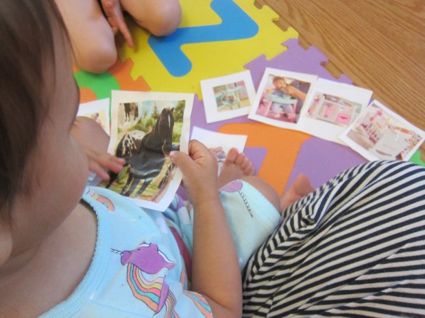 Rotating Picture Tale (7)