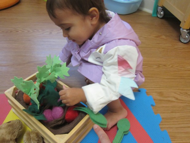 Round and Round the Garden (3)