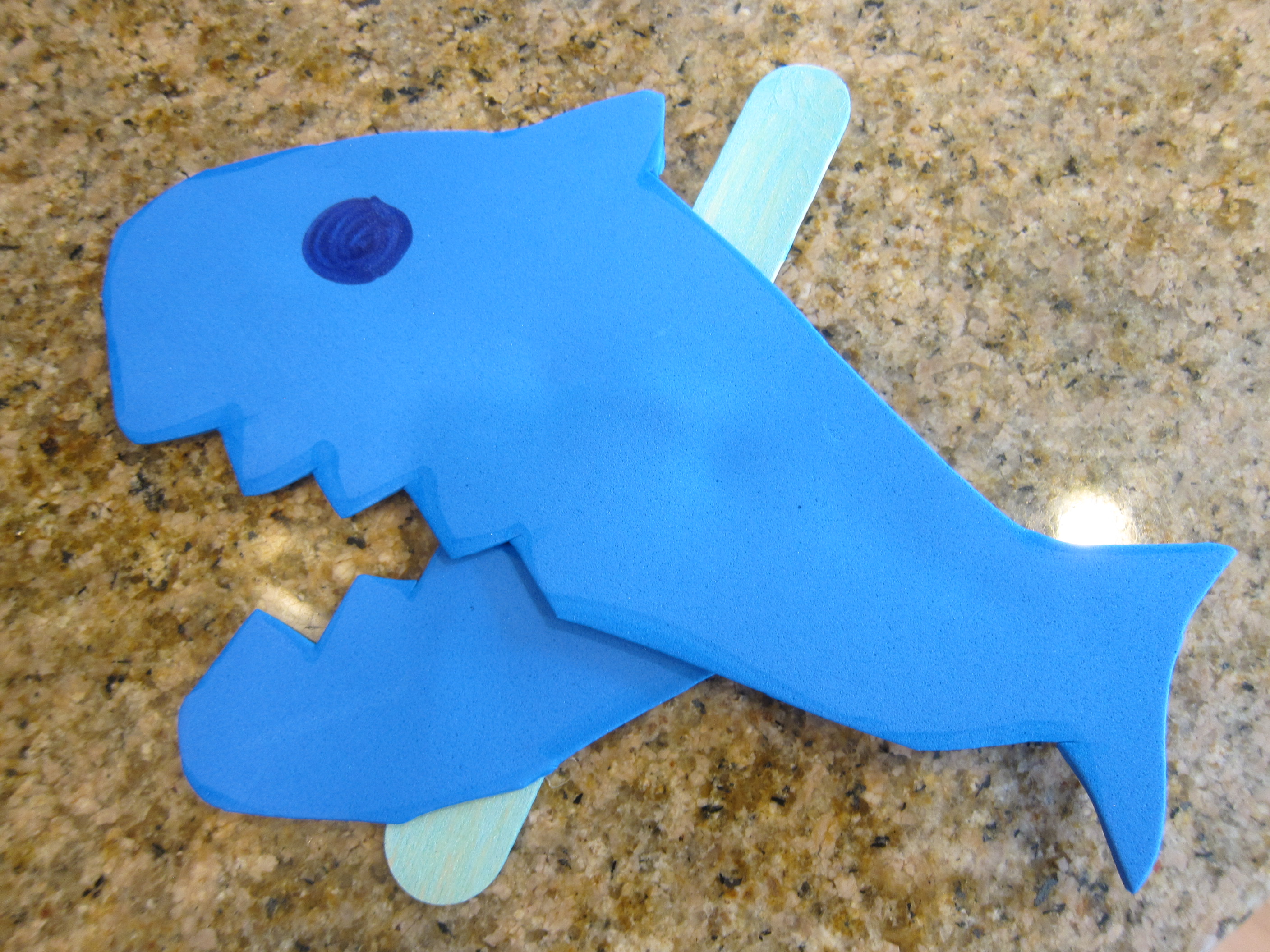 Shark Awareness (12)