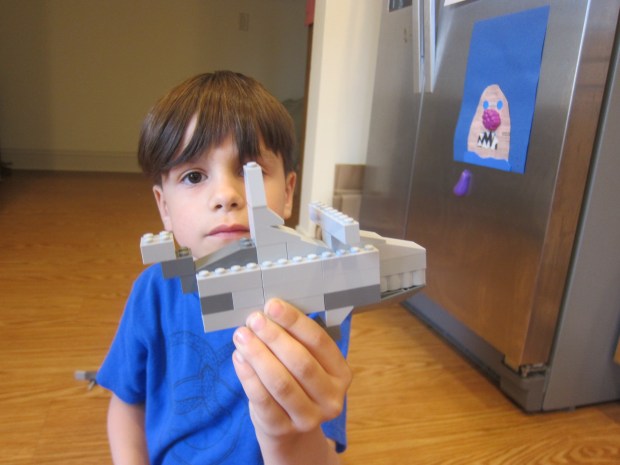 Shark Awareness (15)