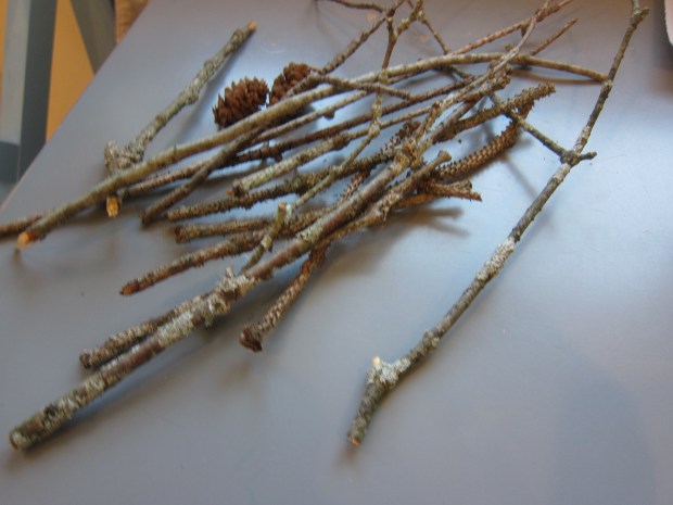 Small World Forest Play (2)