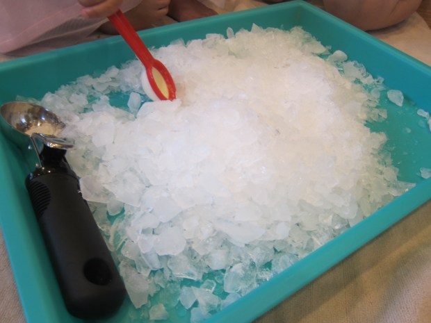 Sno Cone Creation Station (1)