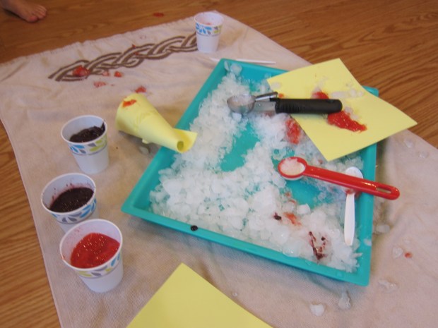 Sno Cone Creation Station (10)