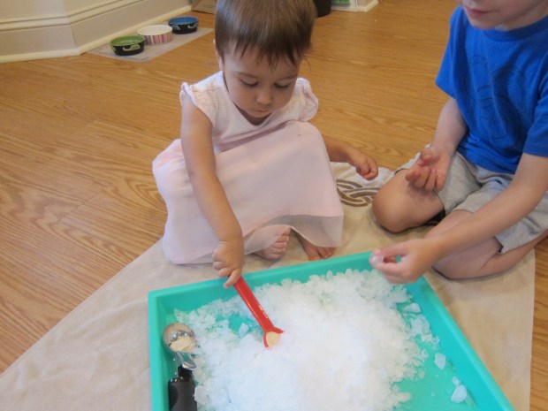 Sno Cone Creation Station (2)