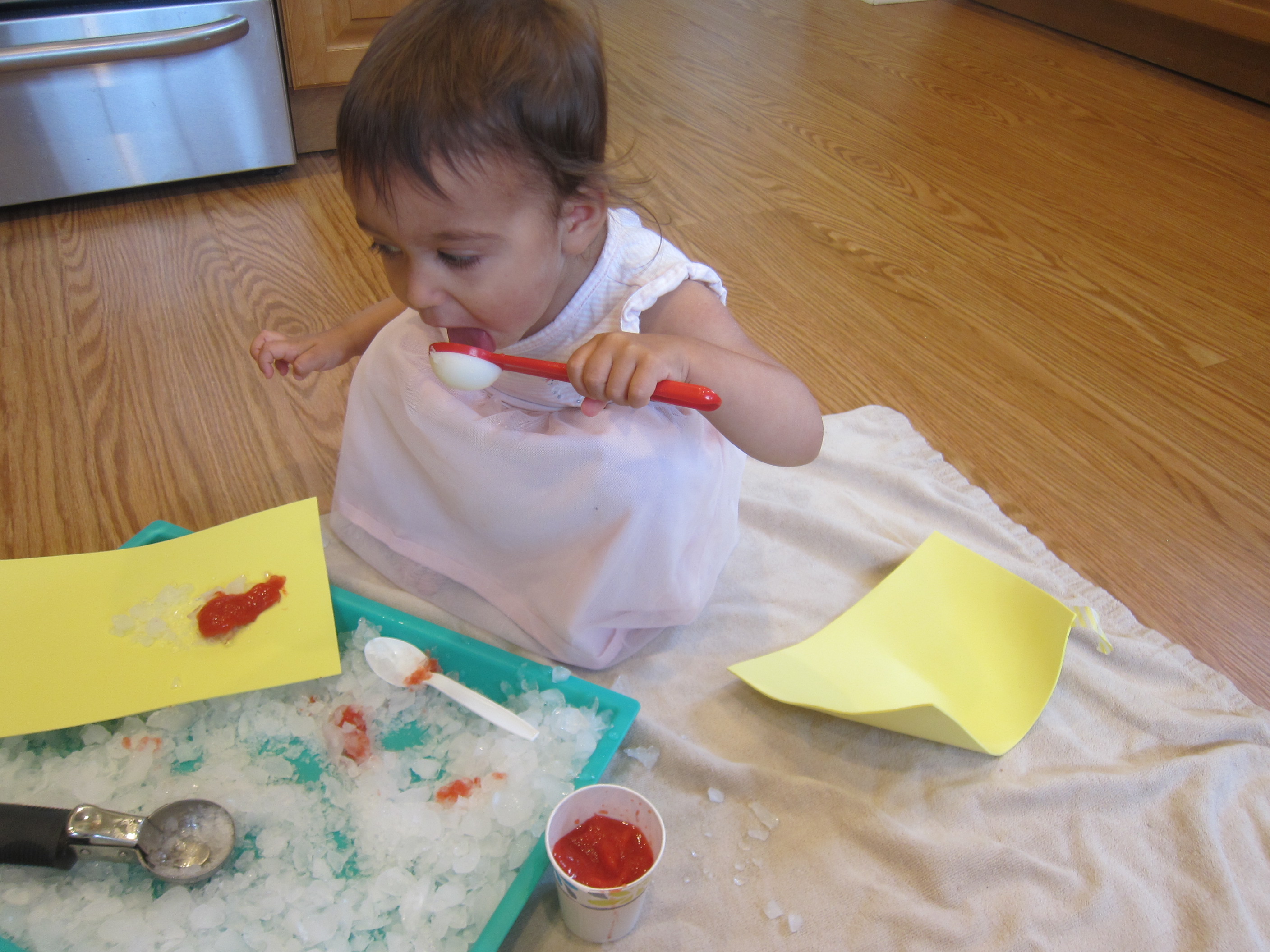 Sno Cone Creation Station (7)