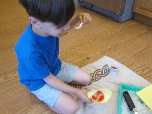 Sno Cone Creation Station (8)