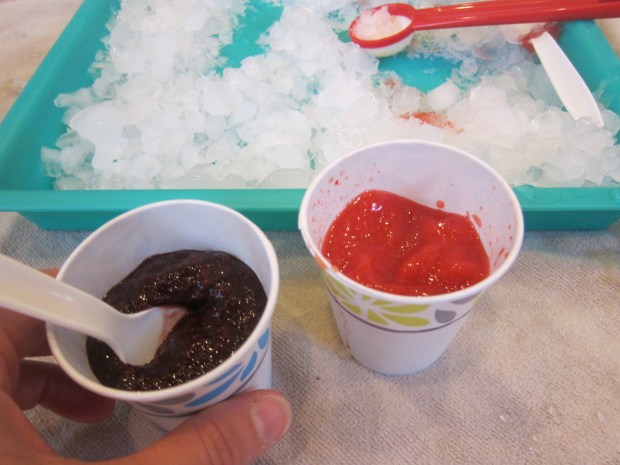 Sno Cone Creation Station (9)