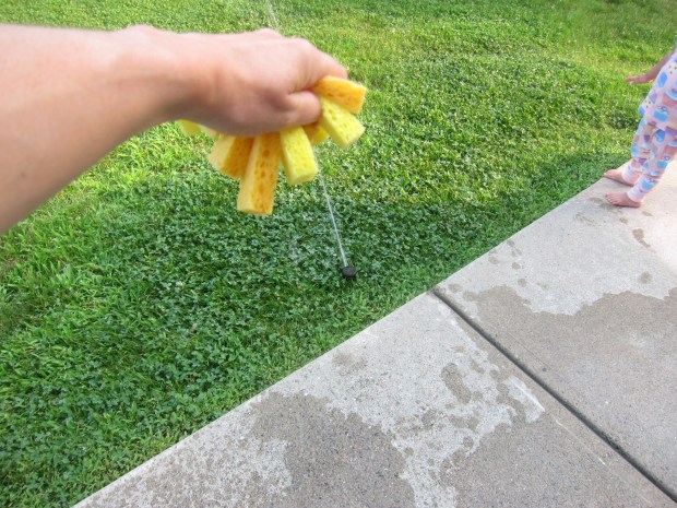 Sponge Ball Toss (11)
