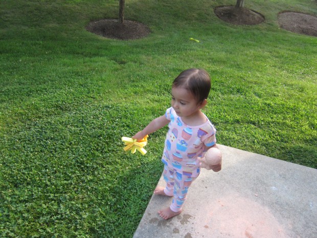 Sponge Ball Toss (12)