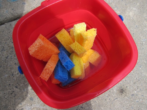 Sponge Ball Toss (3)