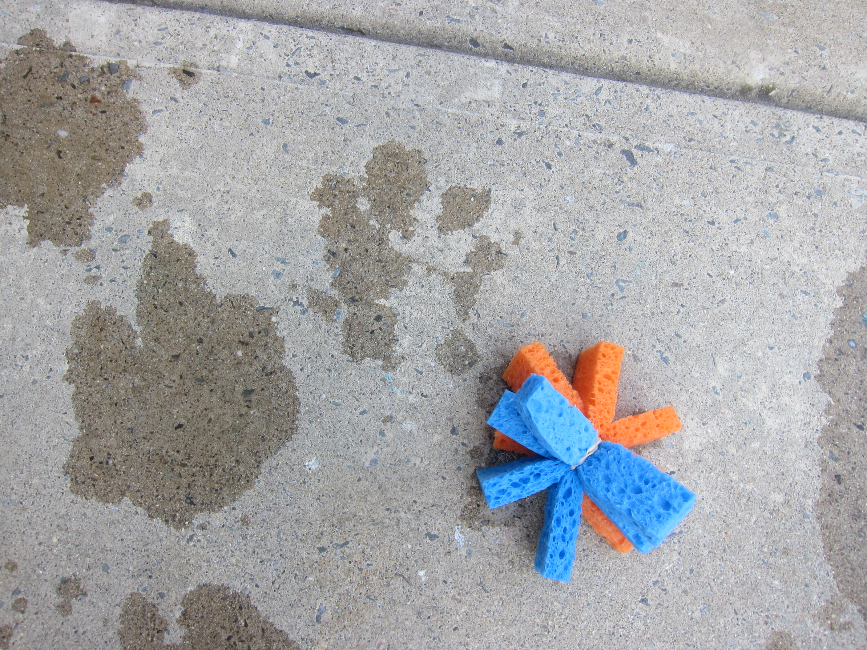 Sponge Ball Toss (7)