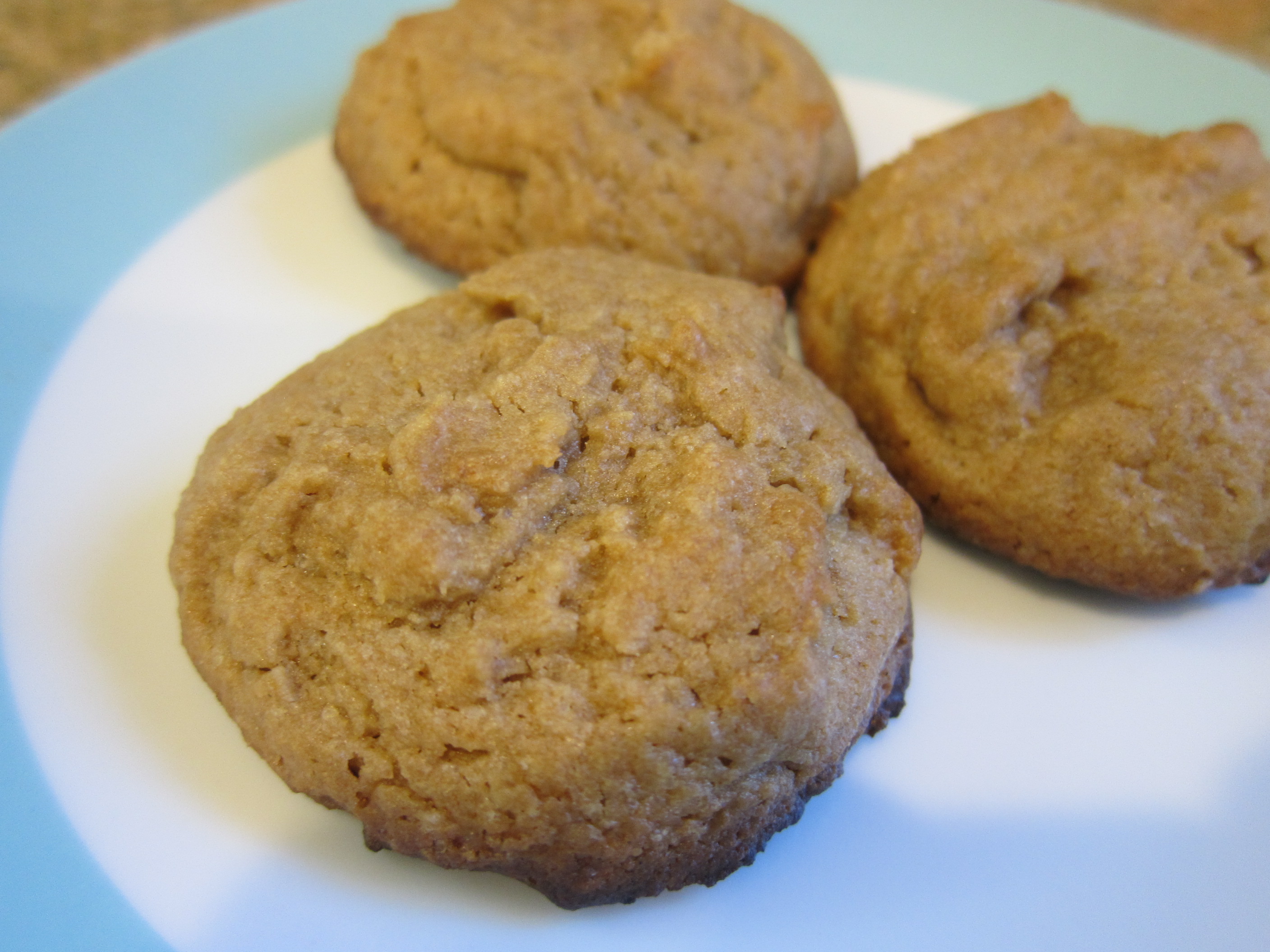 Sunflower Seed Butter Cookies (1)