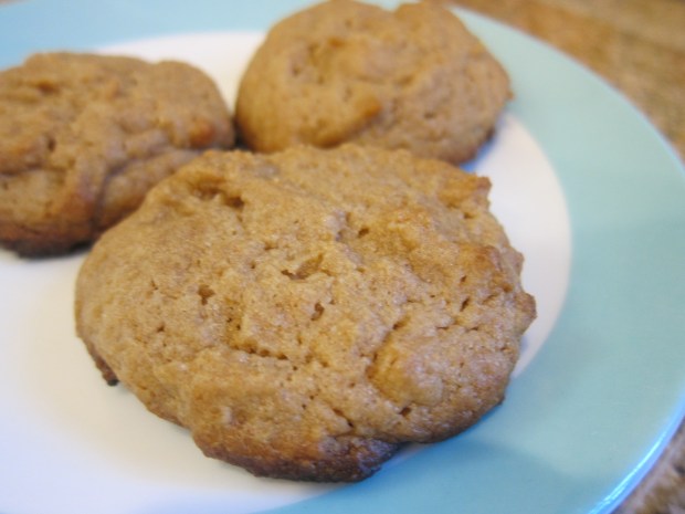 Sunflower Seed Butter Cookies (2)