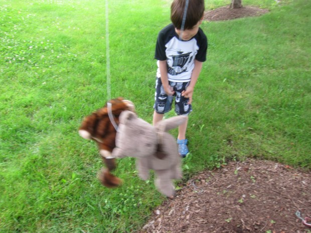 Teddy Swing (3)