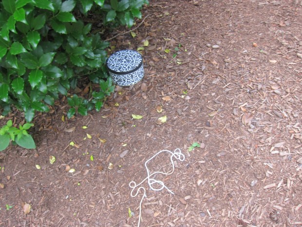 Tiny Treasure Hunt (1)