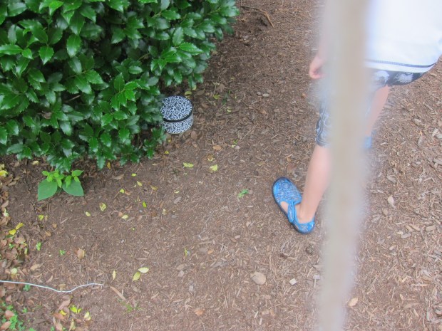 Tiny Treasure Hunt (5)