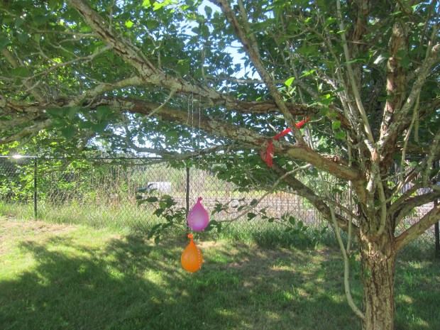 Water Balloon Toss (4)