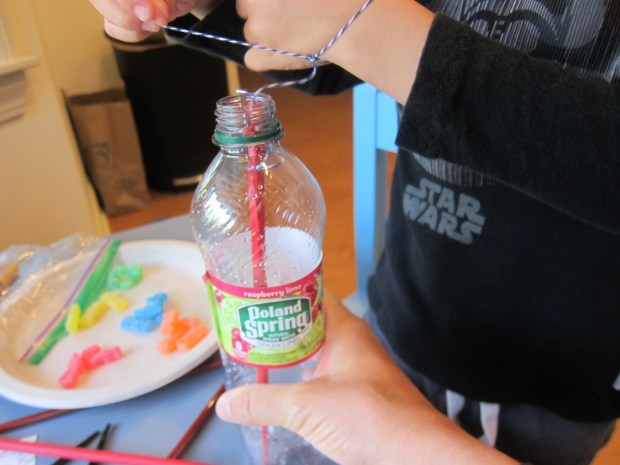 Chopstick Challenge (12)