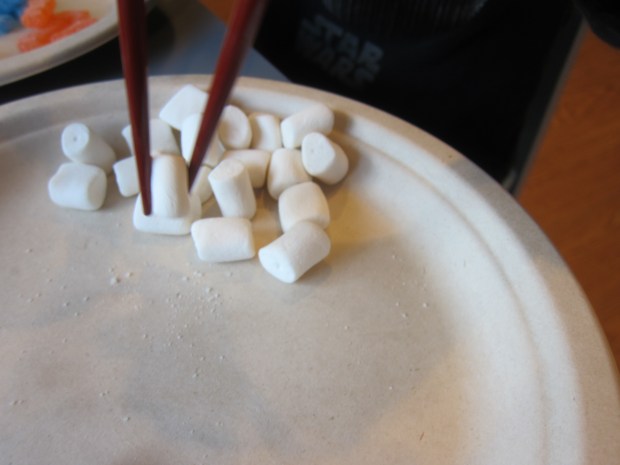 Chopstick Challenge (8)