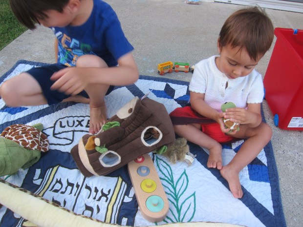 Indoor Toys Outside (12)