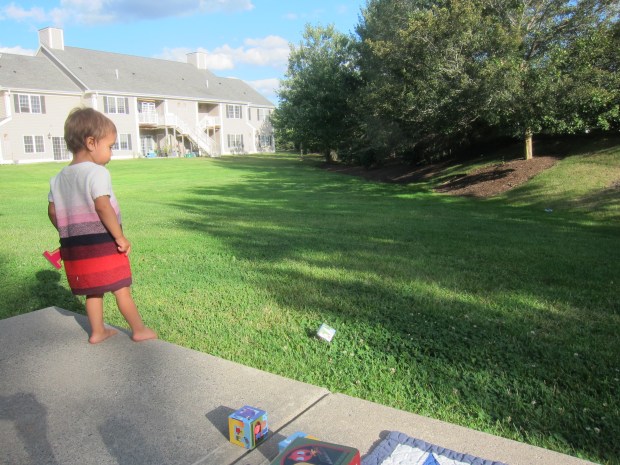 Indoor Toys Outside (4)