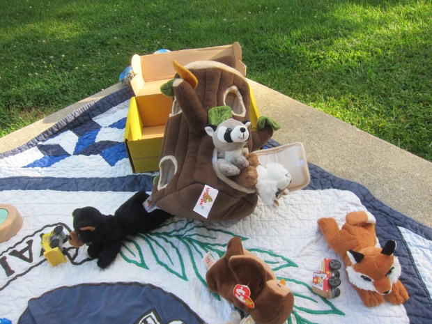 Indoor Toys Outside (7)