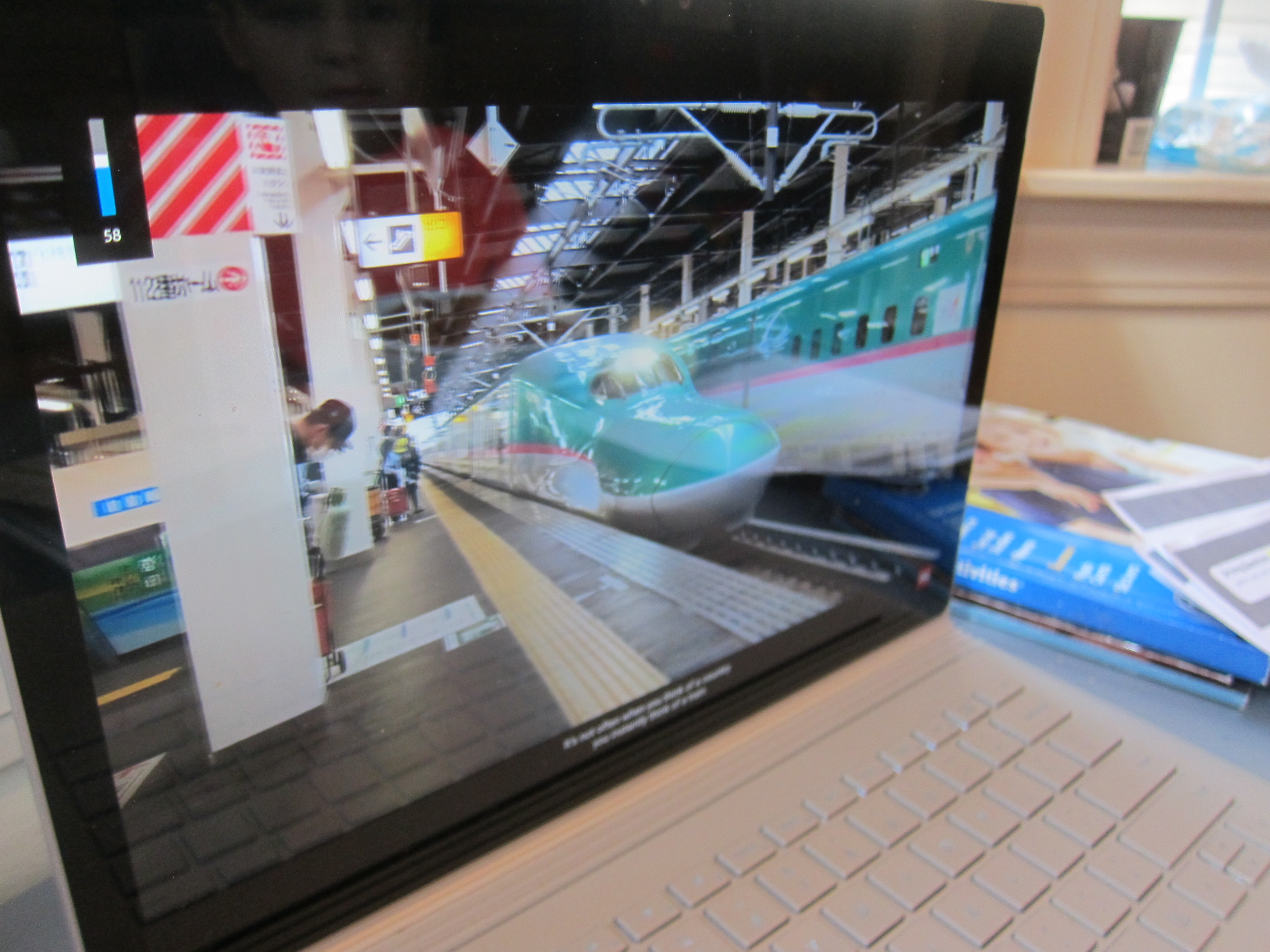 Japan Travel Brochure (2)